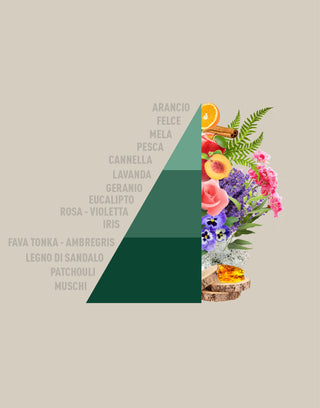 Profuma Bucato Brezza D'Autunno 250ml