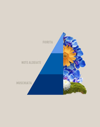 Horotwins Blue fior di loto