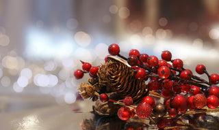 10 modi di utilizzare le bacche rosse nel décor natalizio