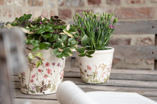 Vasi in ceramica