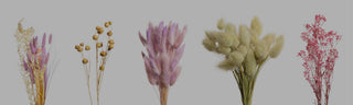 fiorisecchi