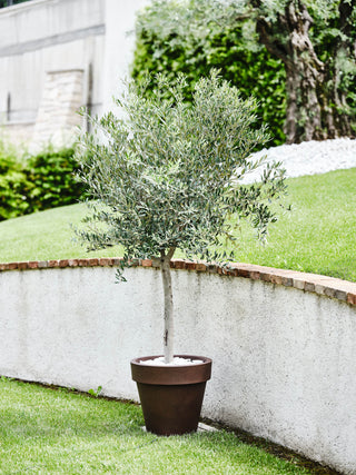 VASO ROTONDO STANDARD-ONE - Tera