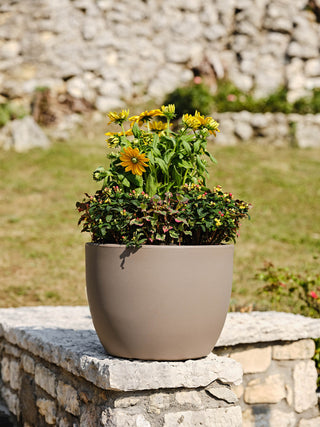 VASO ROTONDO ARES - Tera