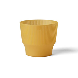 VASO MINI MATTE CLEAR - Tera