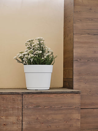 VASO ROTONDO BLOOM - Tera