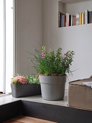 VASO ROTONDO BLOOM - Tera