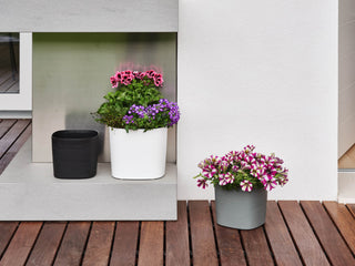 VASO QUADRATO CAPRI - Tera