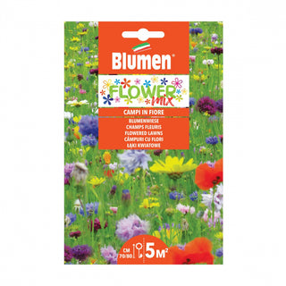 Miscuglio di Fiori Campi in Fiore