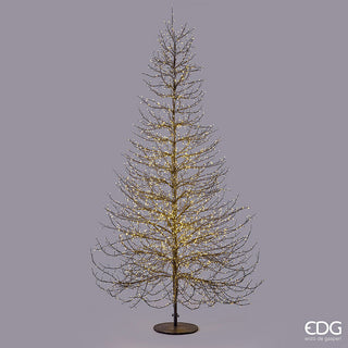 Albero di Faggio luminoso 300 cm
