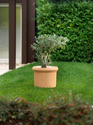 VASO ROTONDO CILINDRO-VICENZA - Tera