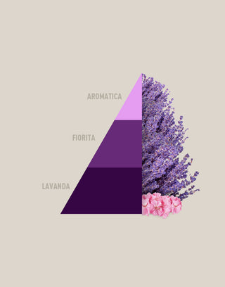 Composition_piramidi_dimensione_prodotto_aromaticlavender-2