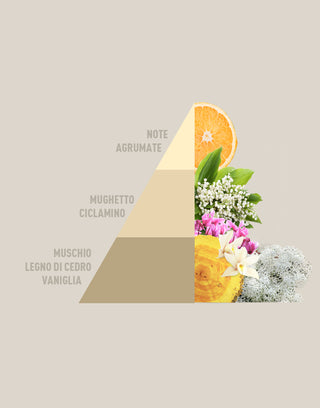 Composition_piramidi_dimensione_prodotto_goldargan_test.