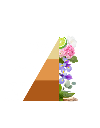 Horotwins Elixir