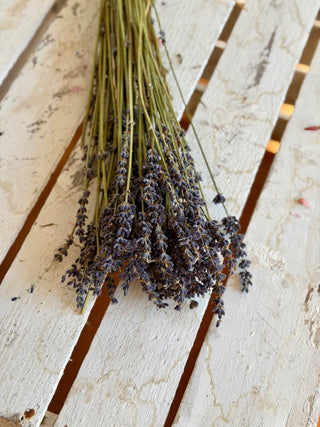 Mazzo di Lavanda Essiccata