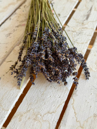 Mazzo di Lavanda Essiccata