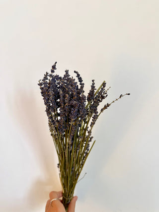 Mazzo di Lavanda Essiccata