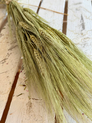 Mazzo di Orzo Essiccato Naturale