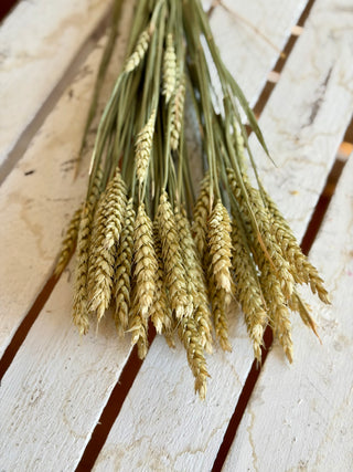 Mazzo di Grano Essiccato Naturale