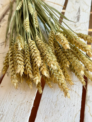 Mazzo di Grano Essiccato Naturale