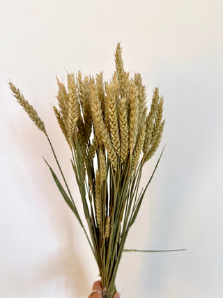 Mazzo di Grano Essiccato Naturale