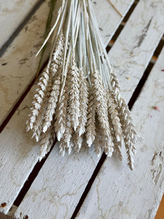 Mazzo di Grano Essiccato Bianco