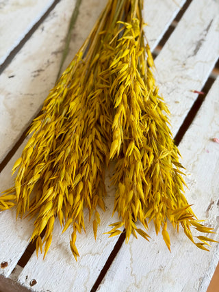 Mazzo di Avena Essiccata Giallo