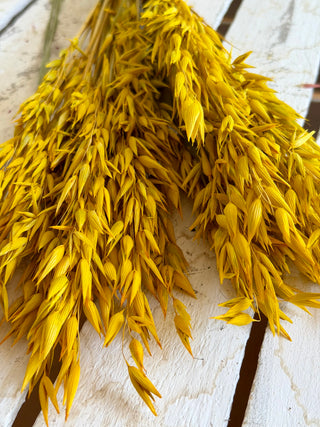 Mazzo di Avena Essiccata Giallo