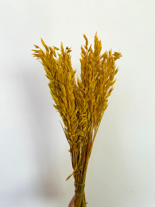 Mazzo di Avena Essiccata Giallo