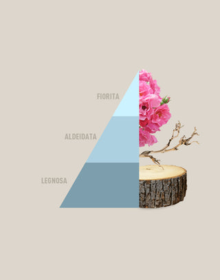 PIRAMIDE FRESH COTTON