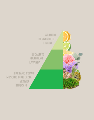 PIRAMIDE-ODOUR-OFF
