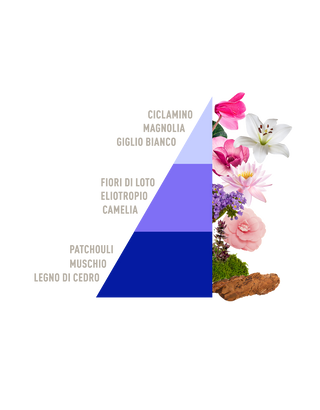 PIRAMIDE OLFATTIVA LOTO (003)