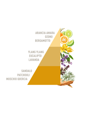 PIRAMIDE OLFATTIVA SANDALO (002)