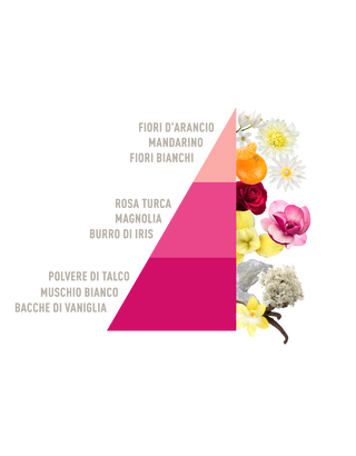 PIRAMIDE OLFATTIVA TALCO (002)