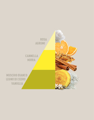 PIRAMIDE vanigliamirra_test