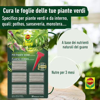 COMPO Concime in bastoncini per Piante Verdi