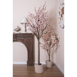 Set 3 Ceste Beige e Bianca