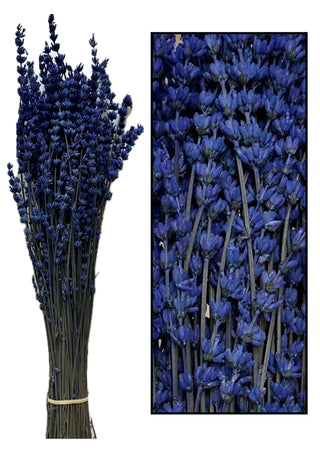 Fiori Stabilizzati Lavanda