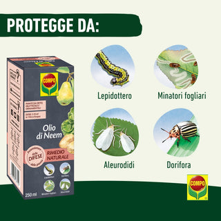 COMPO Olio di Neem Concentrato