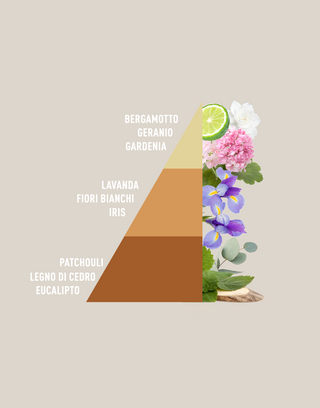 piramide-elixir