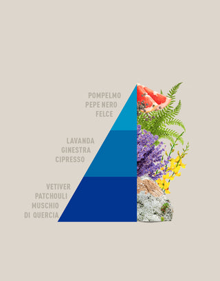 piramide-fiori-blu-homefragrance
