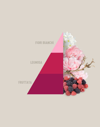 piramide peonia