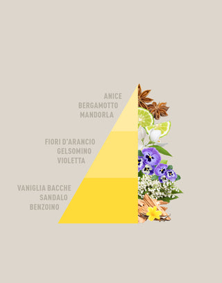 piramide-vaniglia-homefragrance