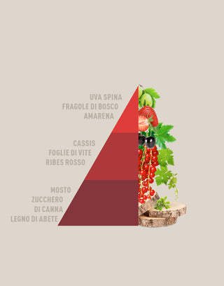 piramide-vigneto-homefragrance