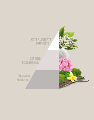 piramide white