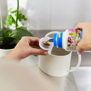 COMPO Concime per Orchidee 250ml
